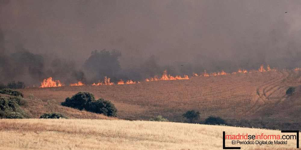 Incendio forestal en Méntrida (Toledo): La UME se moviliza ante las llamas que obligan a amplias evacuaciones
