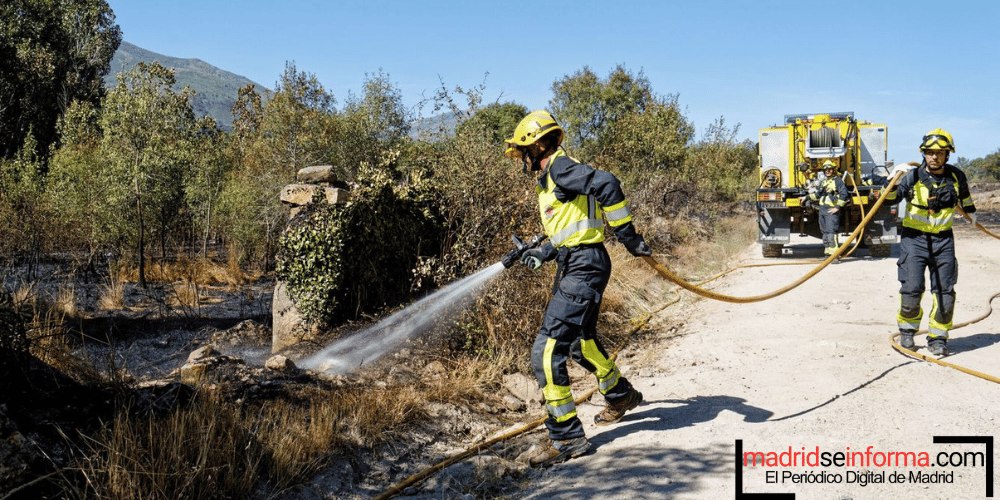 Incendio cerca del Zoo de Madrid: El fuego roza el recinto en la Casa de Campo