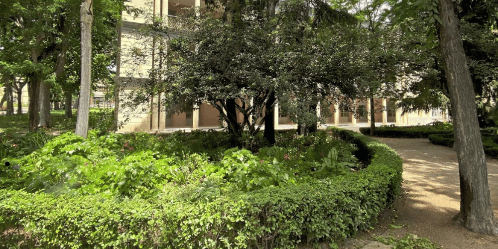 Zona arbolada del parque de Vista Alegre en Carabanchel donde se produjo la detención por agresión sexual a niño de 11 años